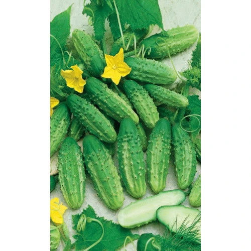 Семена Огурец Уральский засол - корнишон 12 шт (УД) Е/П