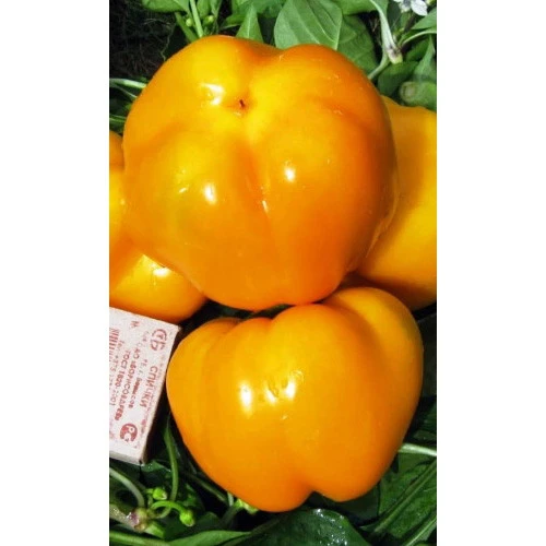 Семена Перец сладкий Оранжевый Юбилейный 0,25 гр (Марс) Б/П