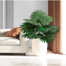 Красота, не требующая ухода