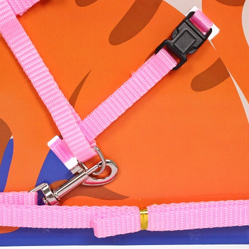Шлейка с поводком Веселая прогулка 120см цвет светло - розовый _3