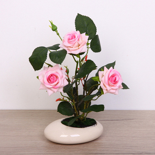 Цветочная композиция "Розовый восторг" 25см в горшке, цвет нежно-розовый