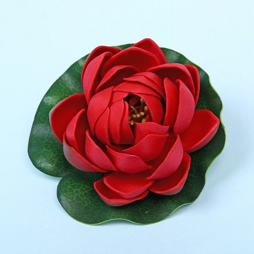 Растение водоплавающее Кувшинка Розитта d-10см красная_7