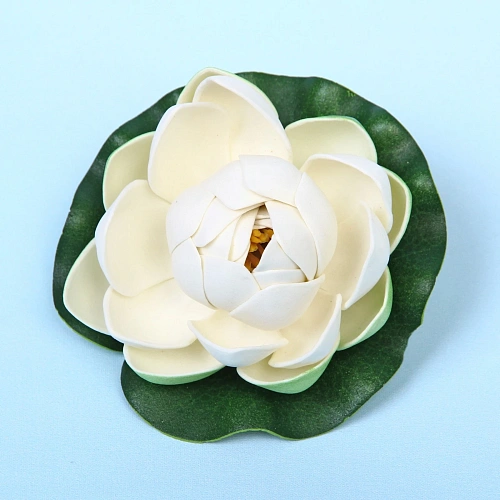 Растение водоплавающее Кувшинка Розитта d-10см белая_7