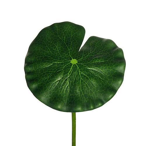 Ультрамарин Растение водоплавающее Лист лотоса 20х90см _3