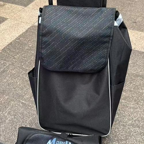 Тележка хозяйственная с сумкой (96*26*36см, колеса 15.5см,груз. до 30 кг.) magic DC307GG