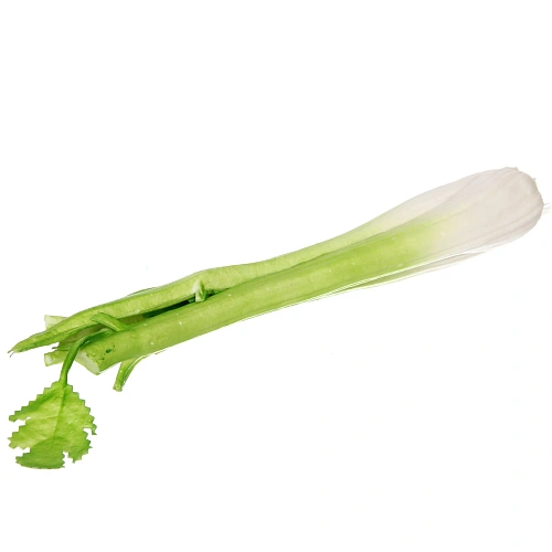 Муляж "Сельдерей" 38см