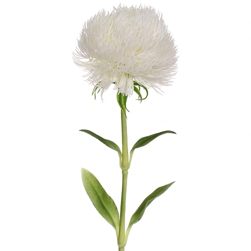 Цветок искусственный Natur 50см Кариофиллум белый_5
