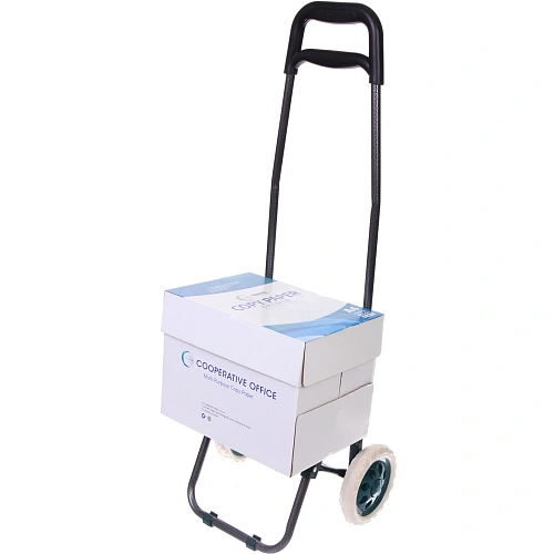 Тележка хозяйственная с сумкой (933330см, колеса 16см, до 30 кг) цветы зеленая_13