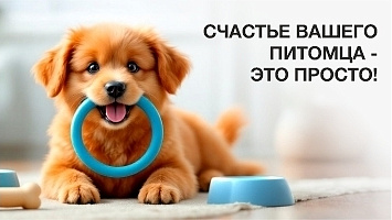 Счастье Вашего Питомца