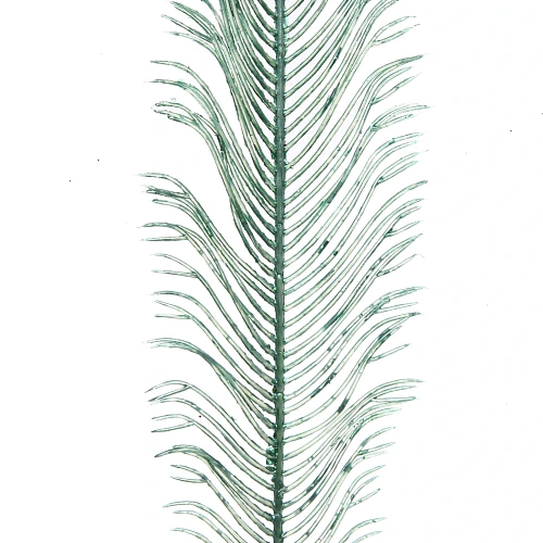 Ветка декоративная Волшебное перо 53 см, Нежный зеленый_3
