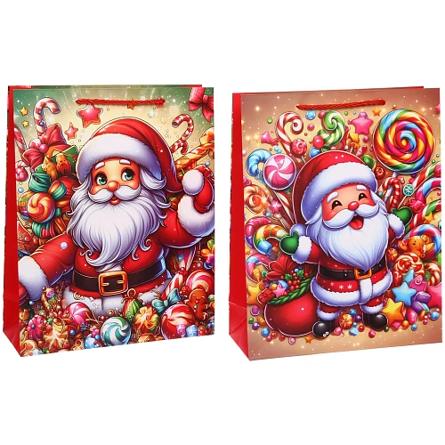 Пакет подарочный Санта 263210 см, микс_3