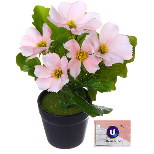 Цветочная композиция "Поцелуй лета" Космея розовая 20см