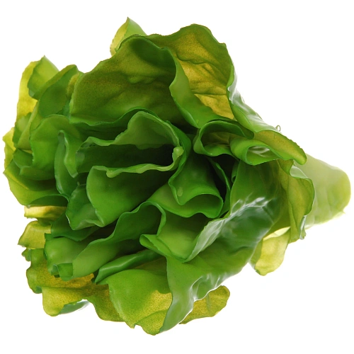 Муляж Салат Латук 1715см_8