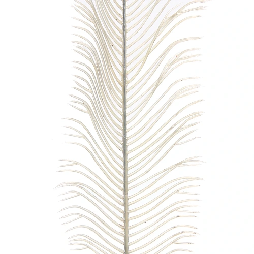 Ветка декоративная Волшебное перо 53 см, Белый_5