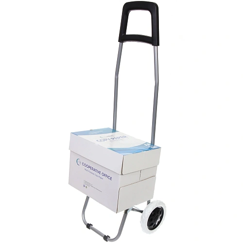 Тележка хозяйственная с сумкой (922733см, колеса 16см,грузоподъемность до 30 кг) геометрия DC318_10