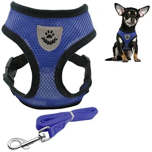 Шлейка с поводком 118см "Sweet puppy" размер ХL, цвет голубой 