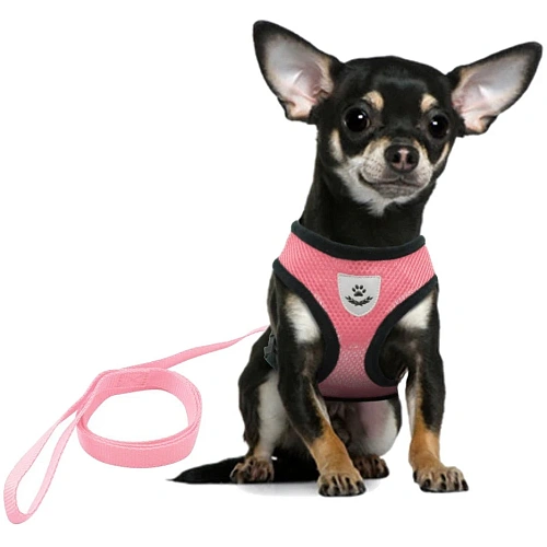 Шлейка с поводком 118см Sweet puppy размер S, цвет розовый Ultramarine_4