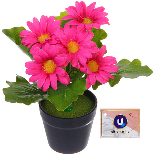 Цветочная композиция "Поцелуй лета" Хризантема ярко-розовая 20см