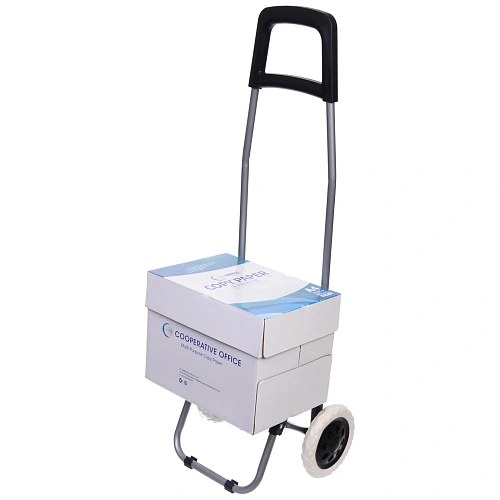 Тележка хозяйственная с сумкой (933326см, колеса 16см,грузоподъемность до 30 кг) черная SYD-16T_14