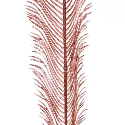 Ветка декоративная Волшебное перо 53 см, Розовое золото_3