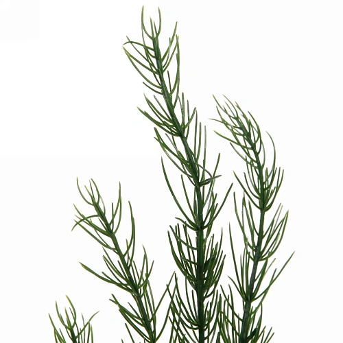 Ветка хвойная Лесное очарование 83 см_5