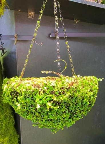 Кашпо для цветов "Сфагнум" с кокосовым волокном, подвесное d=24см, листики